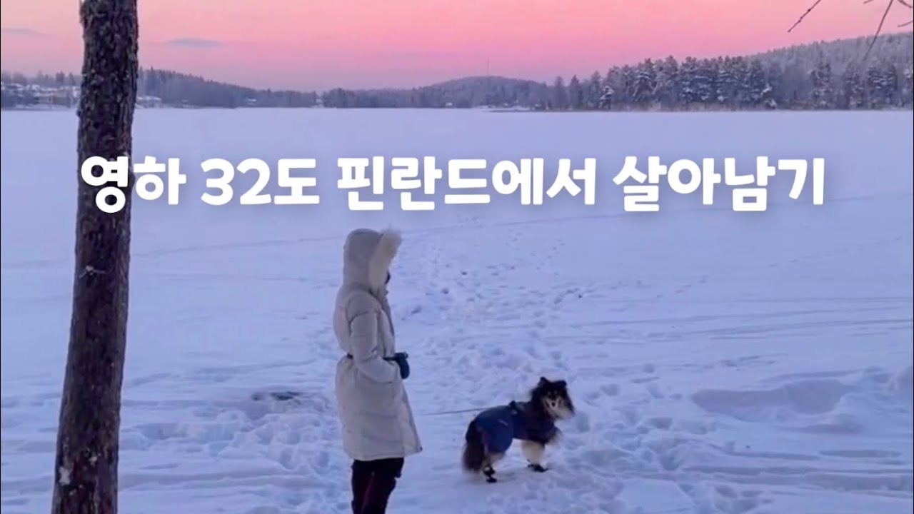 18년만의 기록적 한파🥶 영하 32도에도 산책은 가야지! 핀란드 견주 일상🐶
