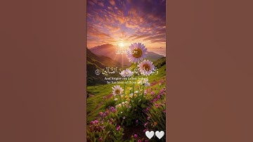 { وَاجْعَلْنِي مِن وَرَثَةِ جَنَّةِ النَّعِيمِ } [ الشعراء:85 ]🤍ياسر الدوسري تلاوة جميلة🤍#quran#قرآن