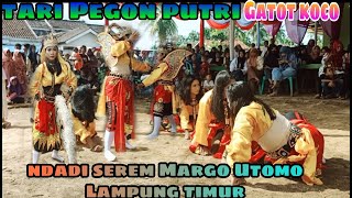 Pegon Putri Gatot Kaca Ndadi Serem Margo Utomo Lampung timur