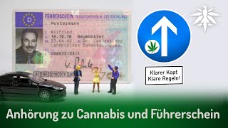 Anhörung zu Cannabis und Führerschein | DHV News  283