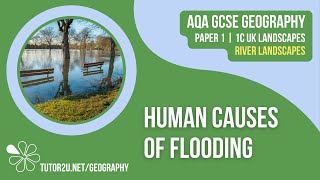 Human Causes of Flooding | AQA GCSE Geography | River Landscapes 8