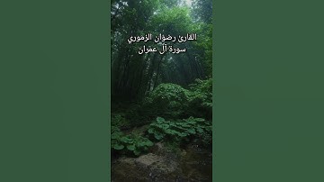 ما تيسر من سورة آل عمران #القرآن #القرآن_الكريم #سورة_آل عمران #تجويد_القرآن_رائع #تلاوة #راحة_نفسية