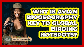 Why Is Avian Biogeography Key To Global Birding Hotspots? - Bird Watching Diaries