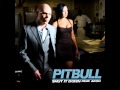 Pitbull  shut it down feat akon