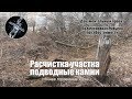 Расчистка участка. Подводные камни.