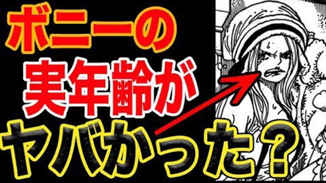 ワンピース909の動画 画像 動画検索 マイルドサイト