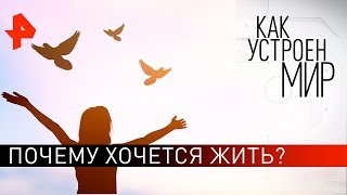 Почему хочется жить? "Как устроен мир" с Тимофеем Баженовым (18.11.19).