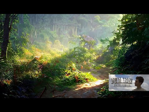 שביל השאלות מדיטציה בדמיון מודרך לרגיעה וניקוי המחשבות לפני השינה 