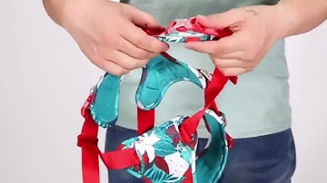 TruelGru- VPN pour animaux de compagnie, SFP CamSolomon, Casting