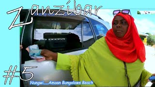 #5. Zanzibar-Tanzania-Nungwi. Хороший отель Amaan Bungalows Beach - территория, аренда автомобиля.