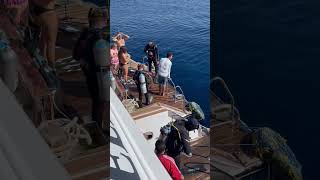 Time To Dive. Egypt. Red Sea. Sharm El Sheikh