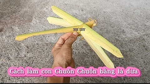 Cách làm Con Chuồn Chuồn bằng lá dừa dễ làm theo nhất.