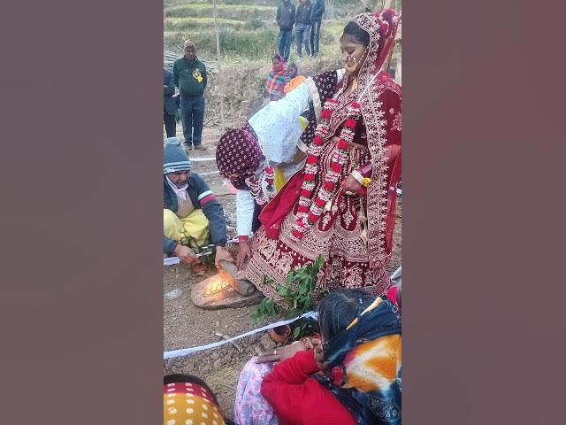 pahadi shaadi 🎉😘 #hindi song #bollywood #youtube #short #viral #video