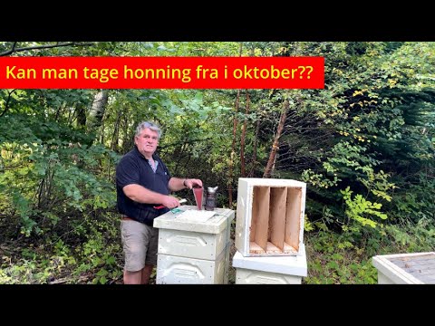 Biavl: Varroatjek og sidste honningfratagning
