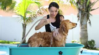 Woof Wash Premium Shampoos