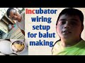 Incubator wiring setup for balut making