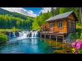 Relaxing Music For Stress Relief, Anxiety and Depressive States • Heal Mind, Body and Soul