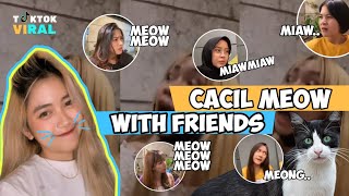 Lucu dan Kocak Cacil With Friends Menirukan Suara Kucing Virall Di Tiktok 2020, Tiktok 2021