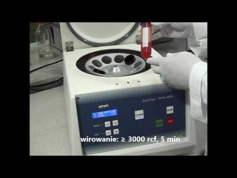 Wideo: Próbka Laboratoryjna