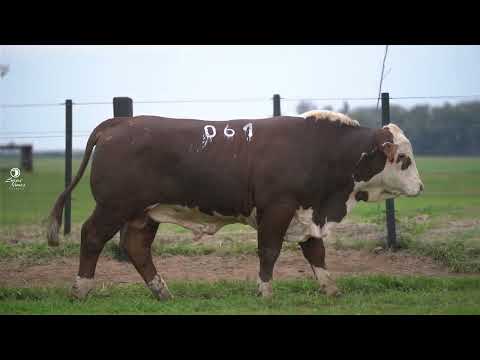 LOTE 05   TAT  061  GC