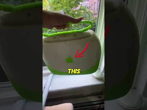 Unexpected Find in the Closet #shorts