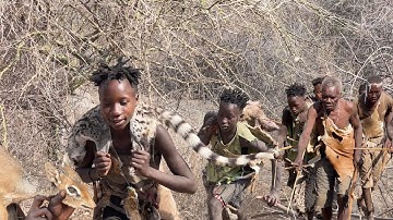 Primitive Baboon Hunting Skills of the Hadzabe Tribe | Wild Adventure!