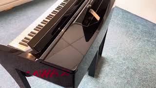 Used Yamaha CVP-609 PE Digital Piano - Rimmers Music | Condition Walk Through With James