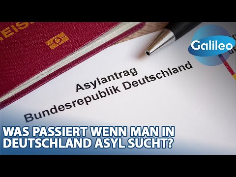 Vilimsky geht Journalisten auf offener Straße an | krone.tv NEWS