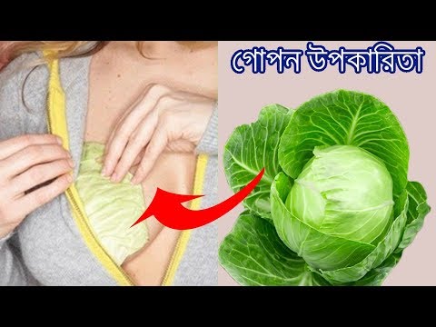 ভিডিও: অদৃশ্য চাঁদে বাঁধাকপি কি সম্ভব?