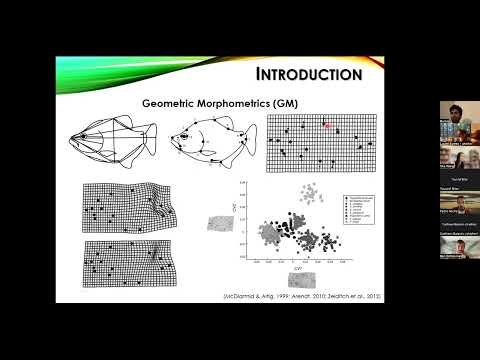 BioacousTalks: The shape