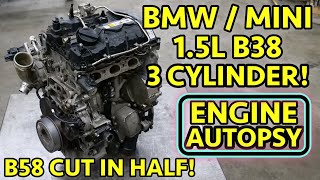 MYSTERY FAILURE? 3Cylinder BMW / Mini Cooper B38 1.5L Engine Teardown