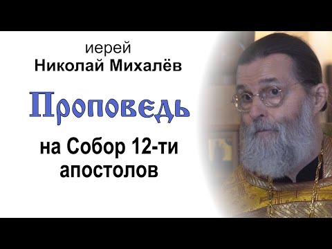 Sermon for the Council of the Twelve Apostles (July 13, 2025). Priest Nikolai Mikhalev