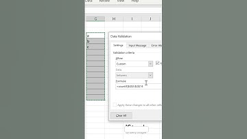 Prevent Duplicate Entries with Data Validation