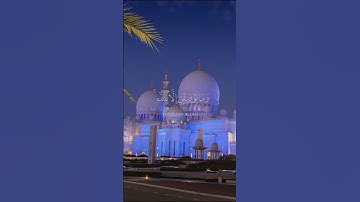 وَمَا تَوْفِيقِي إِلَّا بِاللَّهِ ۚ عَلَيْهِ تَوَكَّلْتُ وَإِلَيْهِ أُنِيبُ (88) سورة هود