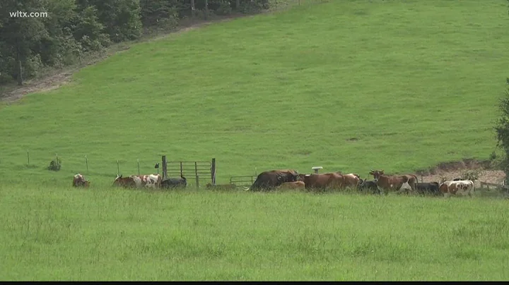 Calhoun County Council defers decision on proposed...