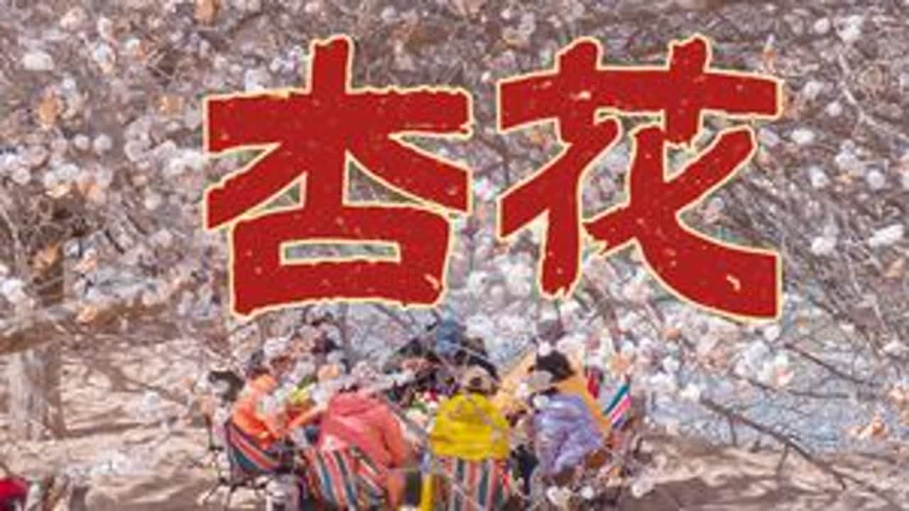 如果你只是为了看花，那南疆真的不适合你！ #南疆