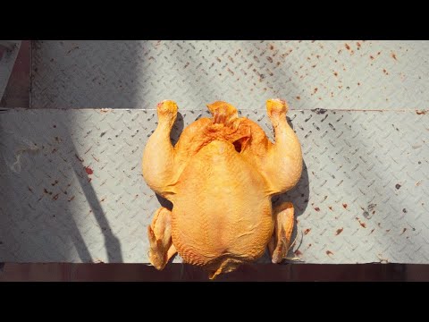 cómo descongelar un pollo en 5 minutos