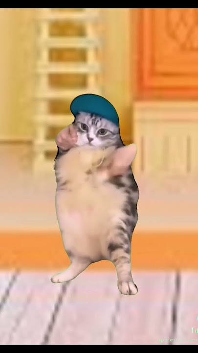 hey hey you you. cat dancing #cat #dance #meme #tiktok