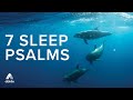 Relaxing Sleeping Meditation 💎 Soothing Scripture Meditation with Calming Stress Relieving Music