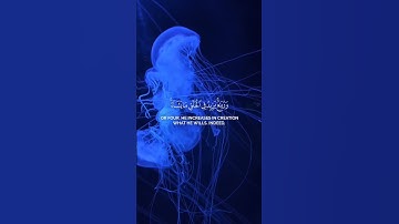 قران كريم بصوت جميل #قرآن #قران_كريم #دويتو #quran