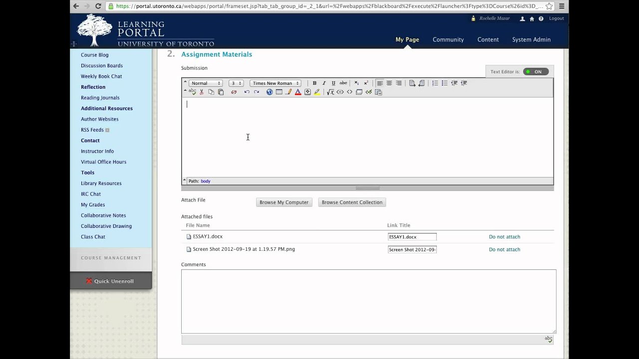 how to submit assignment on portal
