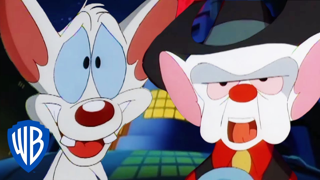 Animaniacs | Pinky and the Brain Become Country Singers | Classic Cartoon | WB Kids