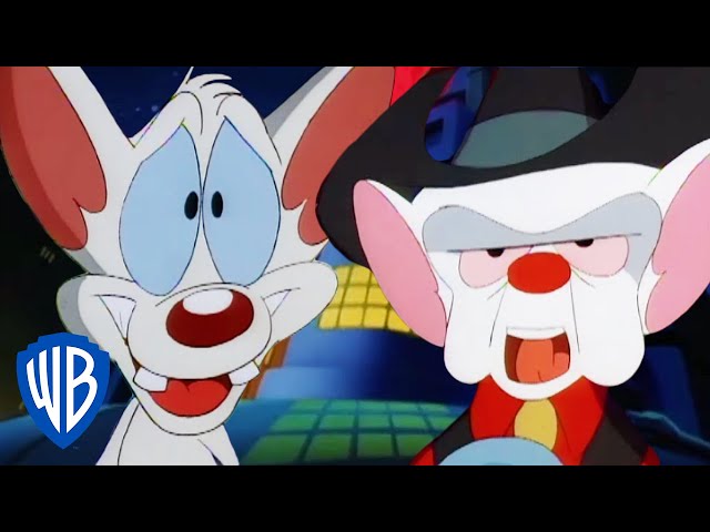 Animaniacs  Pinky and the Brain Become Country Singers