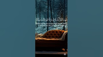 ﴿ الذين يقولون ربنا إننا امنا فاغفر لنا ذنوبنا ﴾بصوت القارئ عبد العزيز سحيم