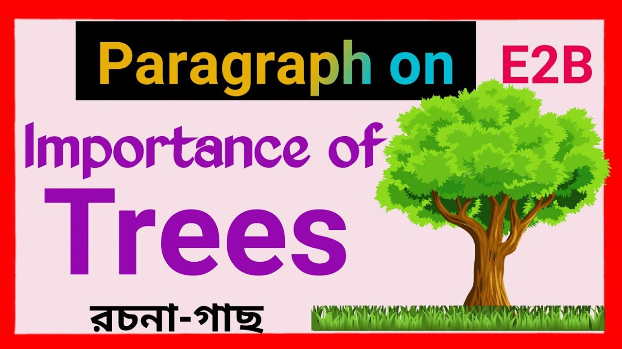 Importance of trees essay