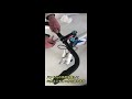 PANTHER (パンサー)21速バトンホイール ロードバイク前後ディスクブレーキ　組立方法