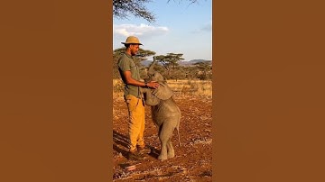 The "Pick Me Up" Arms