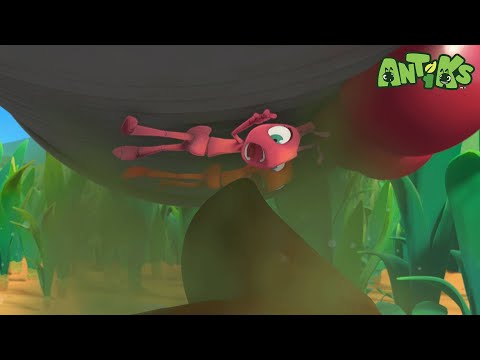 Berry Attractive | 60 Minutes Of Antiks By Oddbods | Kids Cartoons | Party Playtime!