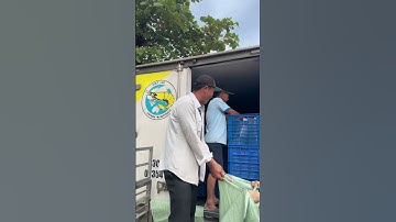 Giao tôm giống Việt Úc #thuysan