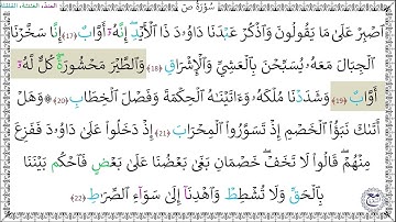سورة ص (17 - 22) خليفة الطنيجي